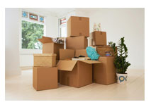Logistics & Packers-Movers